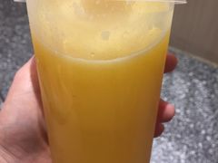 -野萃山·潮汕厚果汁(十亩地店)