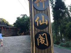 -竹野·上|老字号全竹宴