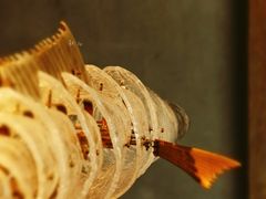 -元白和创园展厅