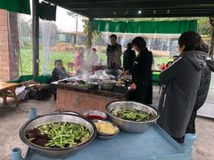-洪湖家庭农场·团建·露营·会议