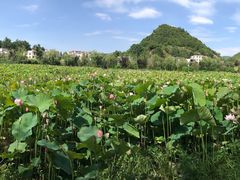 -贵阳蓬莱仙界