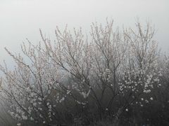 -藏山旅游风景区