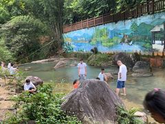 -广州白江湖森林公园