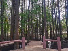 -东湖落雁景区