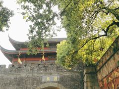 -孙奶奶葱包桧