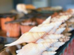 炭烤响螺-七寸飝大饭店(马场店)