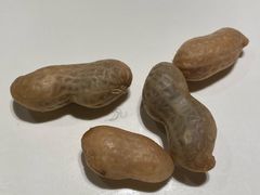 煮花生-海底捞火锅(北京路店)