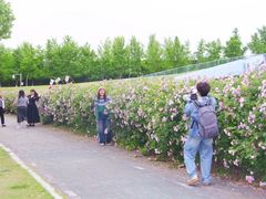 -南京眼步行桥