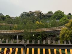 -福道