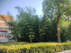 -洛阳白马寺