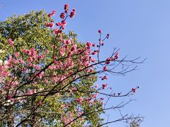 -长广溪湿地公园