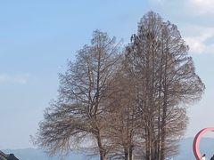 -大理洱海