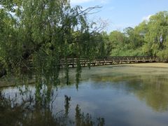 -溱湖国家湿地公园