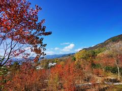 -塔川景区