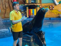 -烟台海昌鲸鲨海洋公园