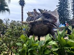 -自贡恐龙博物馆