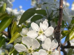 -北镇龙岗子生态园