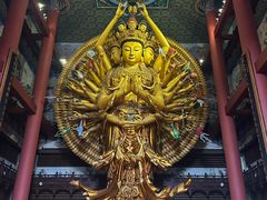 -上海东林寺(金山区)