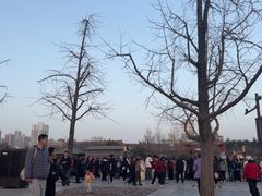 -大雁塔北广场音乐喷泉