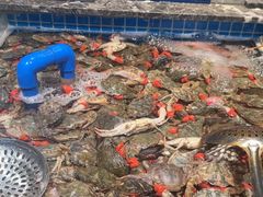 -一方渔歌蒸汽海鲜自助(文化路万达广场店)