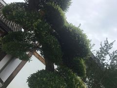 -常德桃花源景区