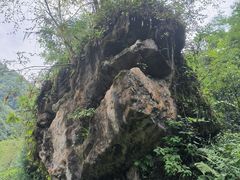 -西岭雪山大飞水景区