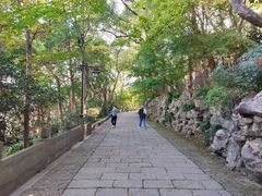 -吴山景区
