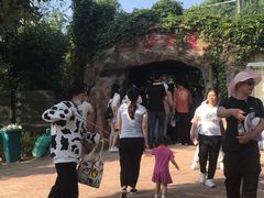 -泉州海丝野生动物世界