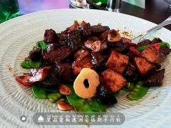 -环球港凯悦 · 享悦中餐厅