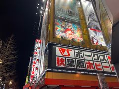 -秋叶原电器街