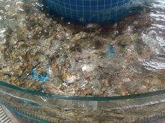 -蓝珊甄选海鲜自助·火锅大排档(近阿那亚店)
