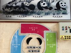 -石家庄市动物园