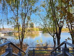 -大兴滨河森林公园