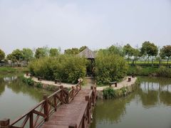 -金稼园·金平湖农家菜