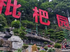 -枇杷园食为鲜火锅(南山店)