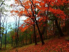 -丹东天桥沟景区