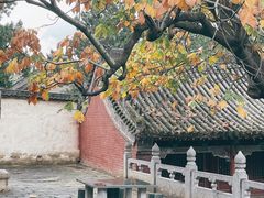 -中岳庙