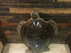 -福禧酒窖·中餐厅 (万柳店)