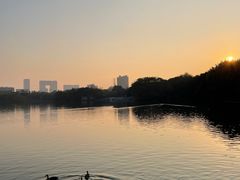 -海珠湖公园