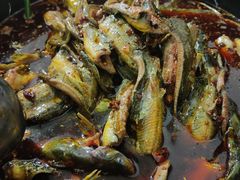 -金海椒罐罐鲢鱼(东方桂苑店)