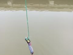 -活鱼馆(宜兴埠店)