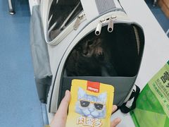 -创凡宠物医院·骨专科  猫科中心(西乡分院)