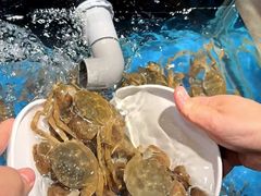 -苏格里岛自助烤肉海鲜火锅(成都金牛万达店)