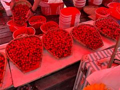 -樱桃山旅游景区