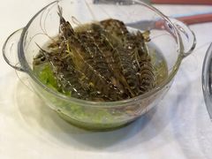 斑节虾-德天肥牛海鲜火锅(龙吟坊店)