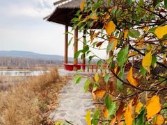 -御道口草原森林风景区