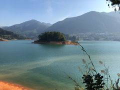 -广州市流溪河国家森林公园