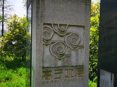 -高子水居