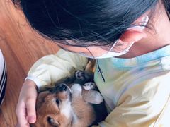 -猫色咖啡·猫咖