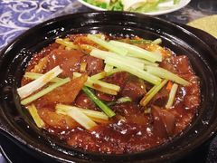 沙爹蹄筋红宝石煲-朕悦鹧鸪饭私房菜